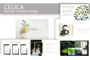 Celica Keynote Template: A Modern Design for Presenters